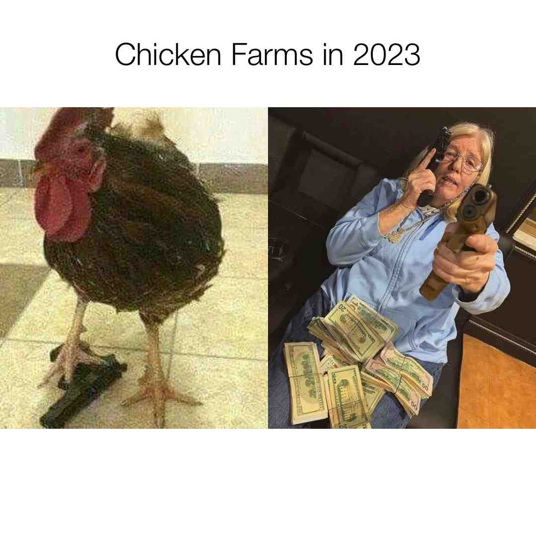 Cluck if you buck #eggs