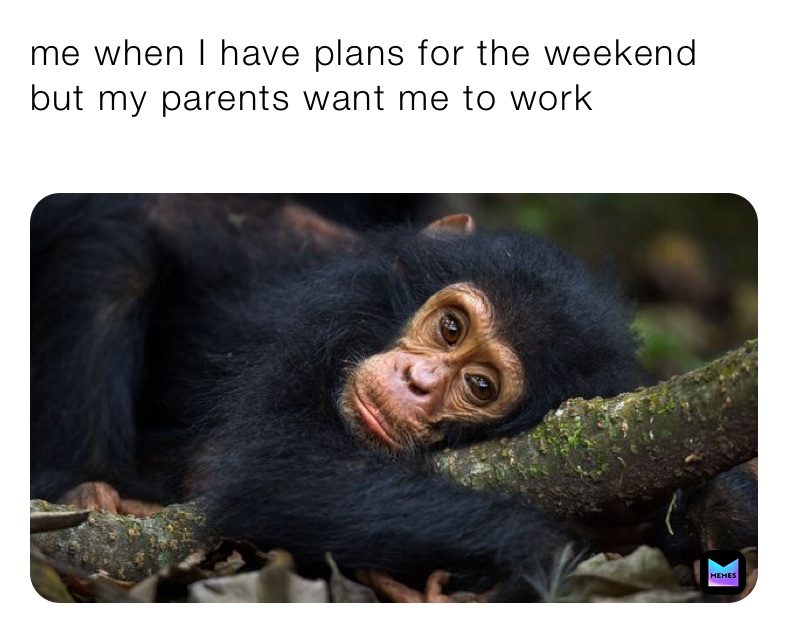 Meme by itsyourboithe5