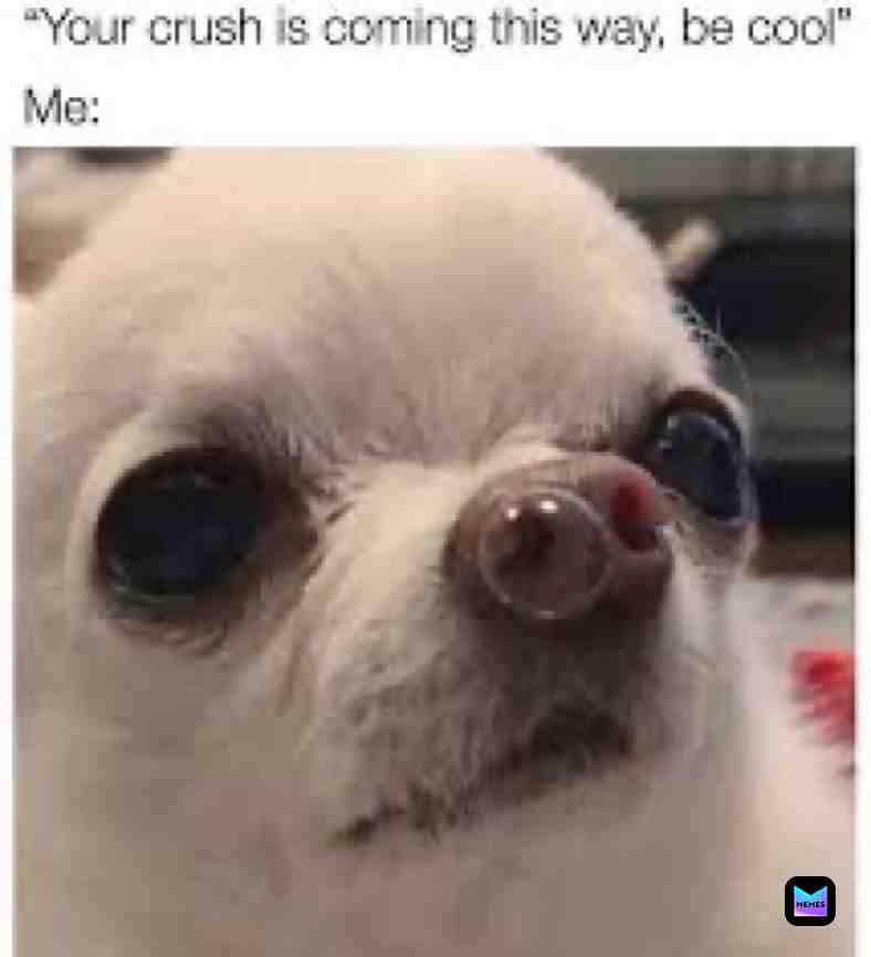 Meme shared by @itsyourboithe5