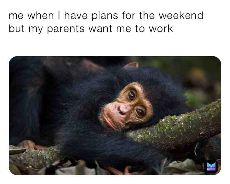 Meme shared by @itsyourboithe5