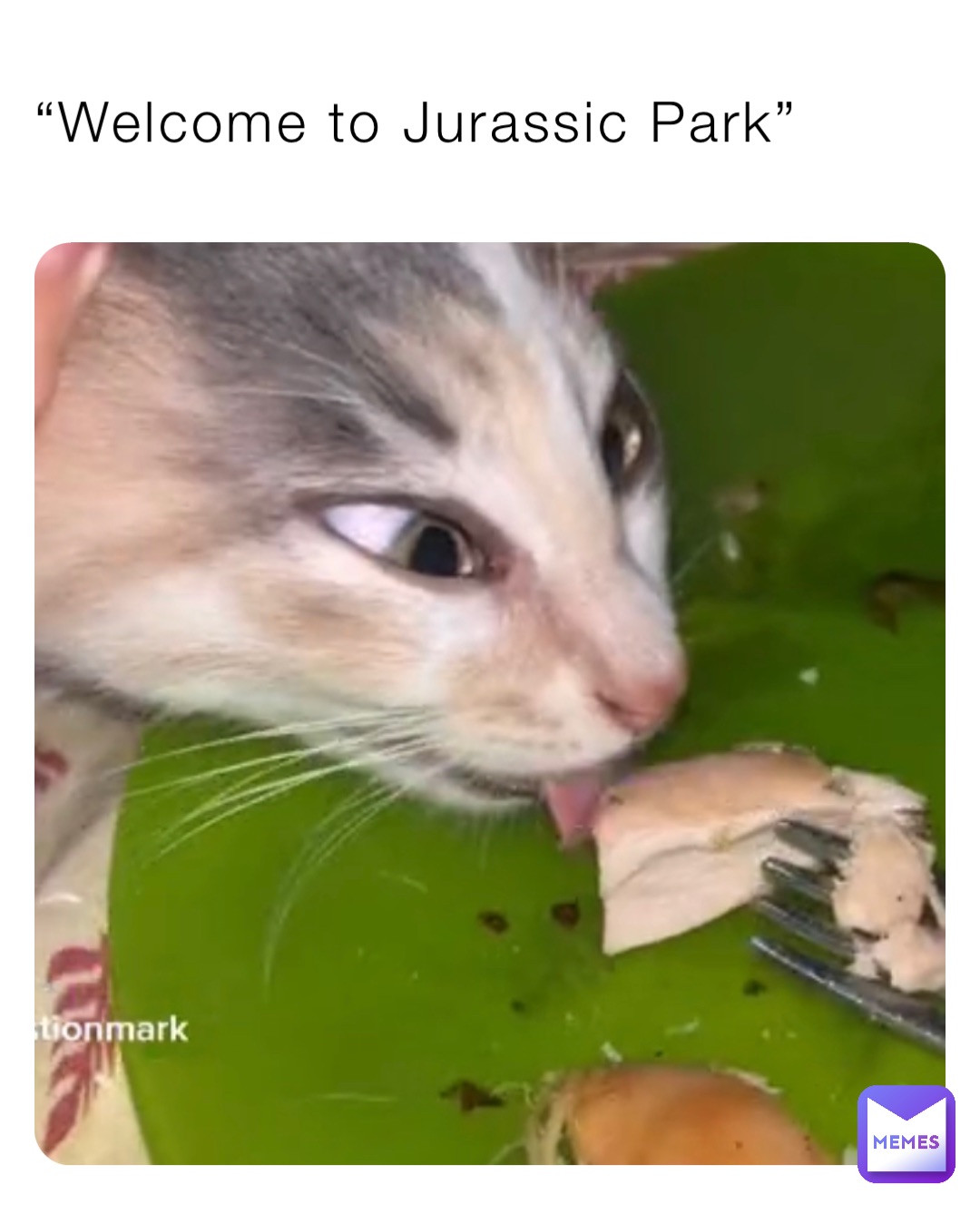 “Welcome to Jurassic Park”
