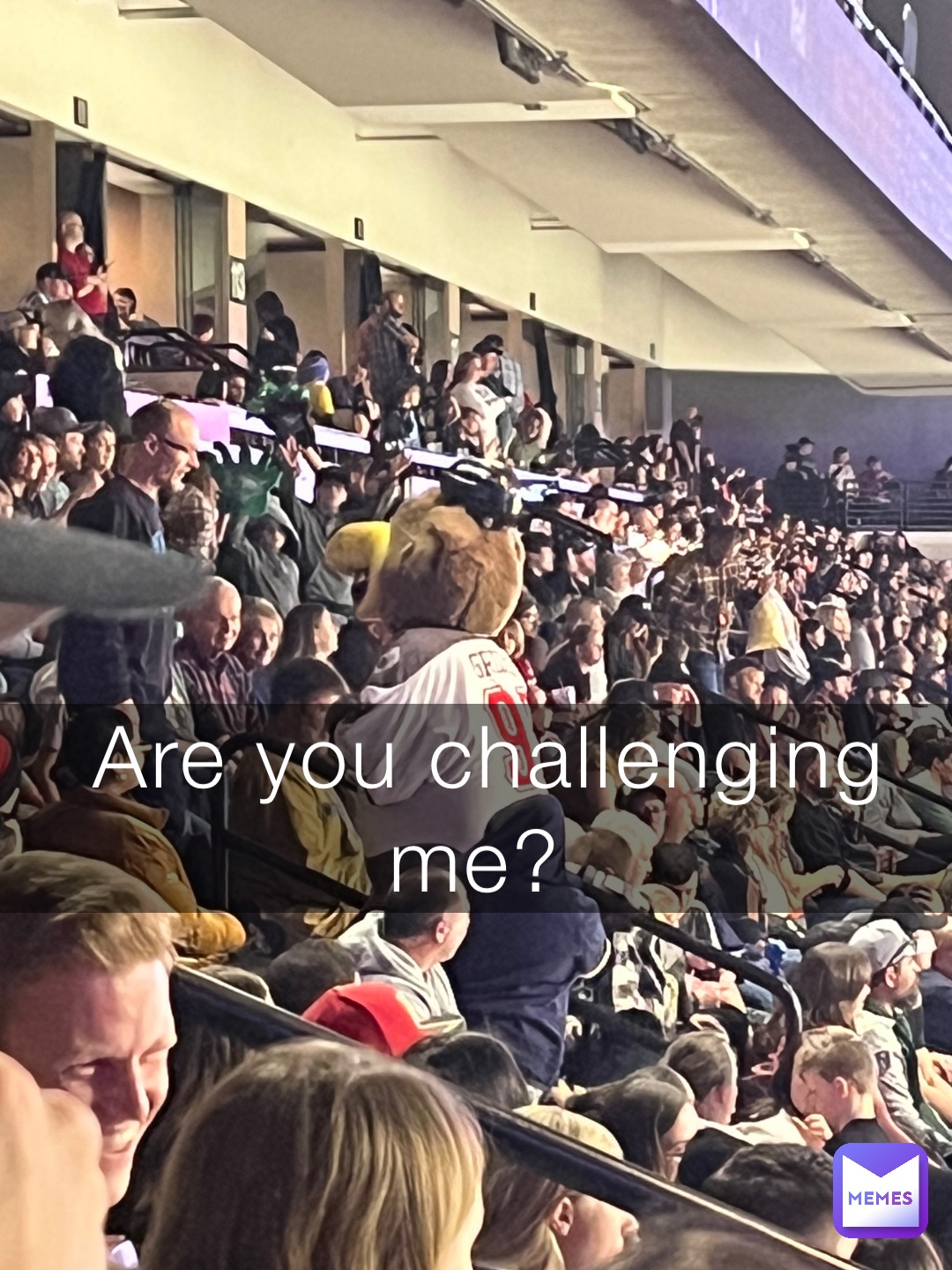 Are you challenging me?