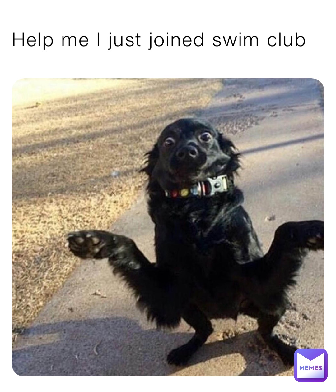 Help me I just joined swim club
