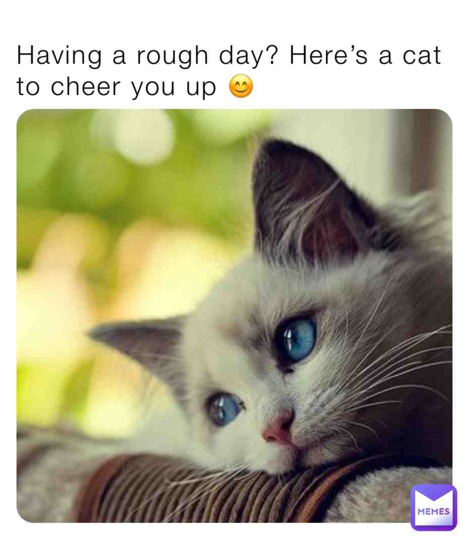 Meme shared by @Yehaboi