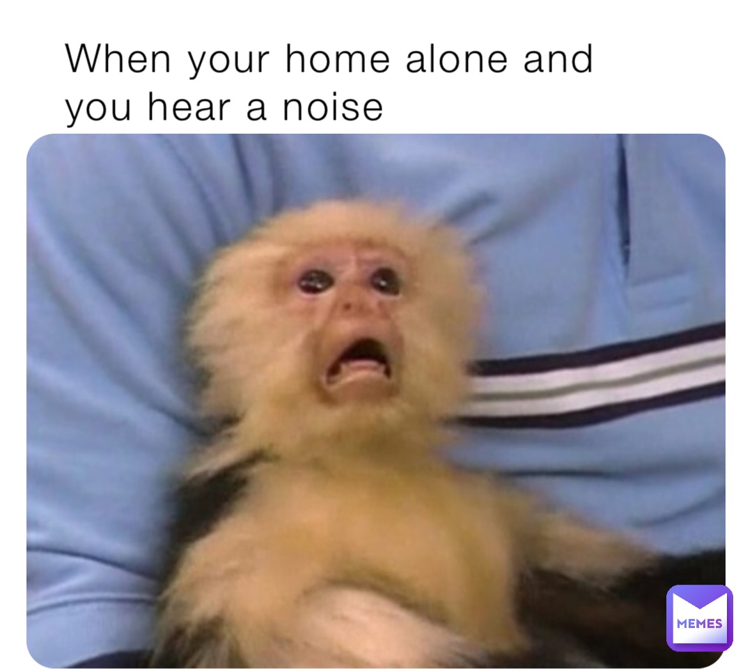 When your home alone and you hear a noise LucyTheLab Memes
