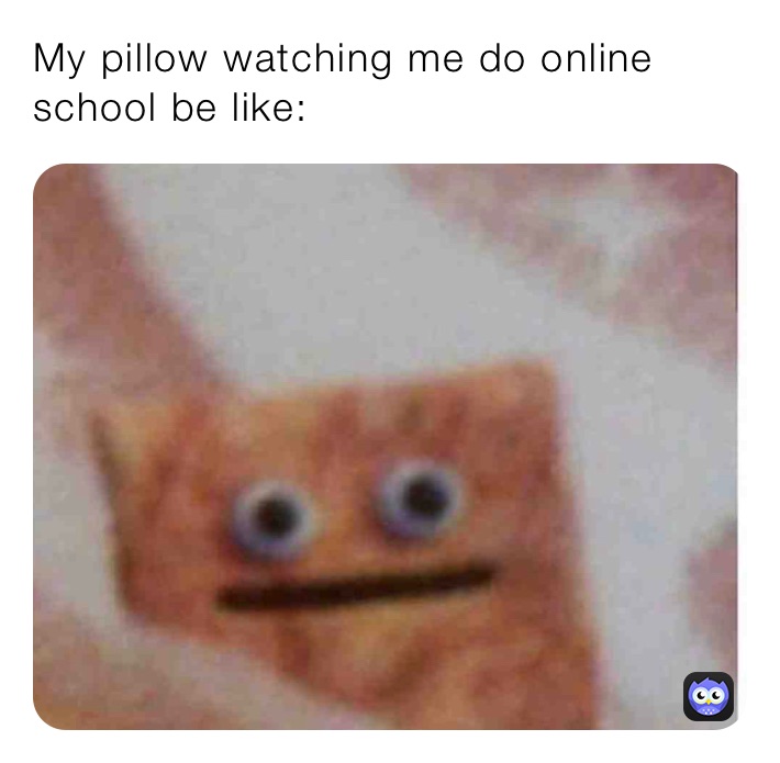 My pillow watching me do online school be like:
