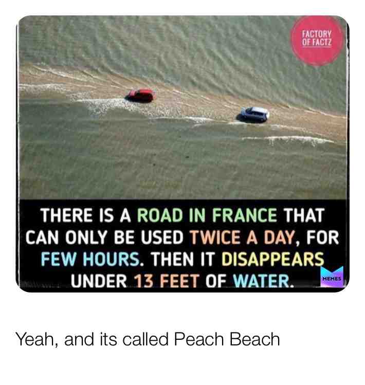Any Mario Kart fans here? \ud83e\udd70\ud83e\udd28
#mariokart #reallyfunny #thisistrue #duh #bruh