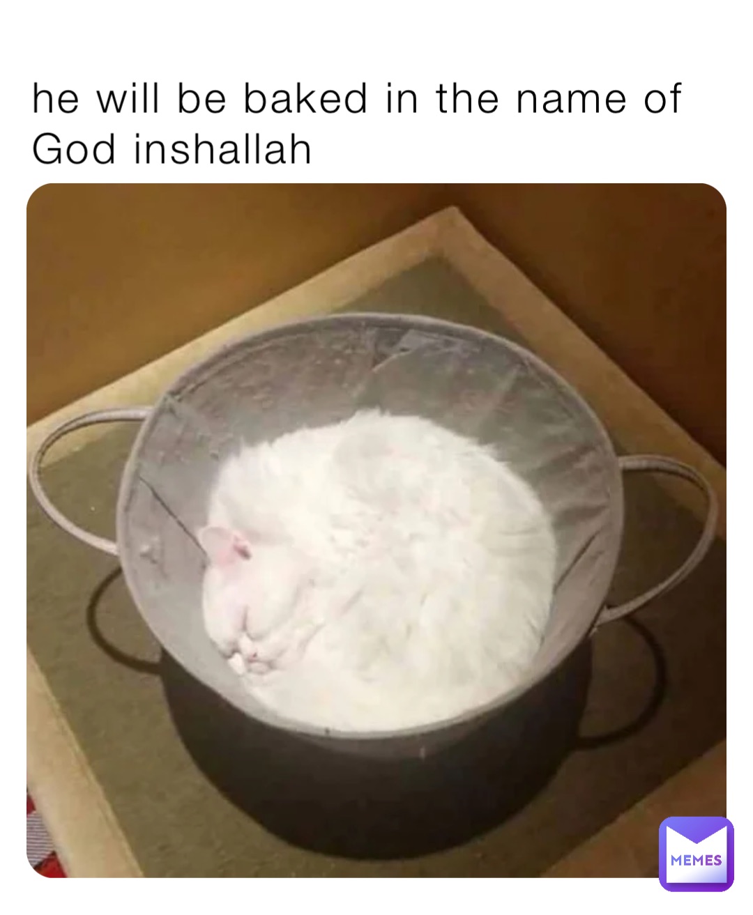 he will be baked in the name of God inshallah