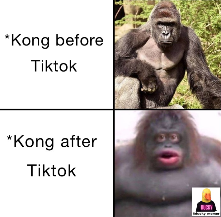 Kong before doing tiktok 