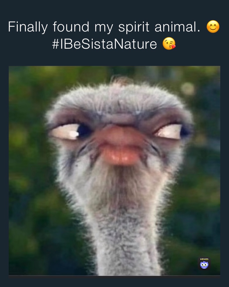 Finally found my spirit animal. 😊 #IBeSistaNature 😘 | @sistsnature | Memes