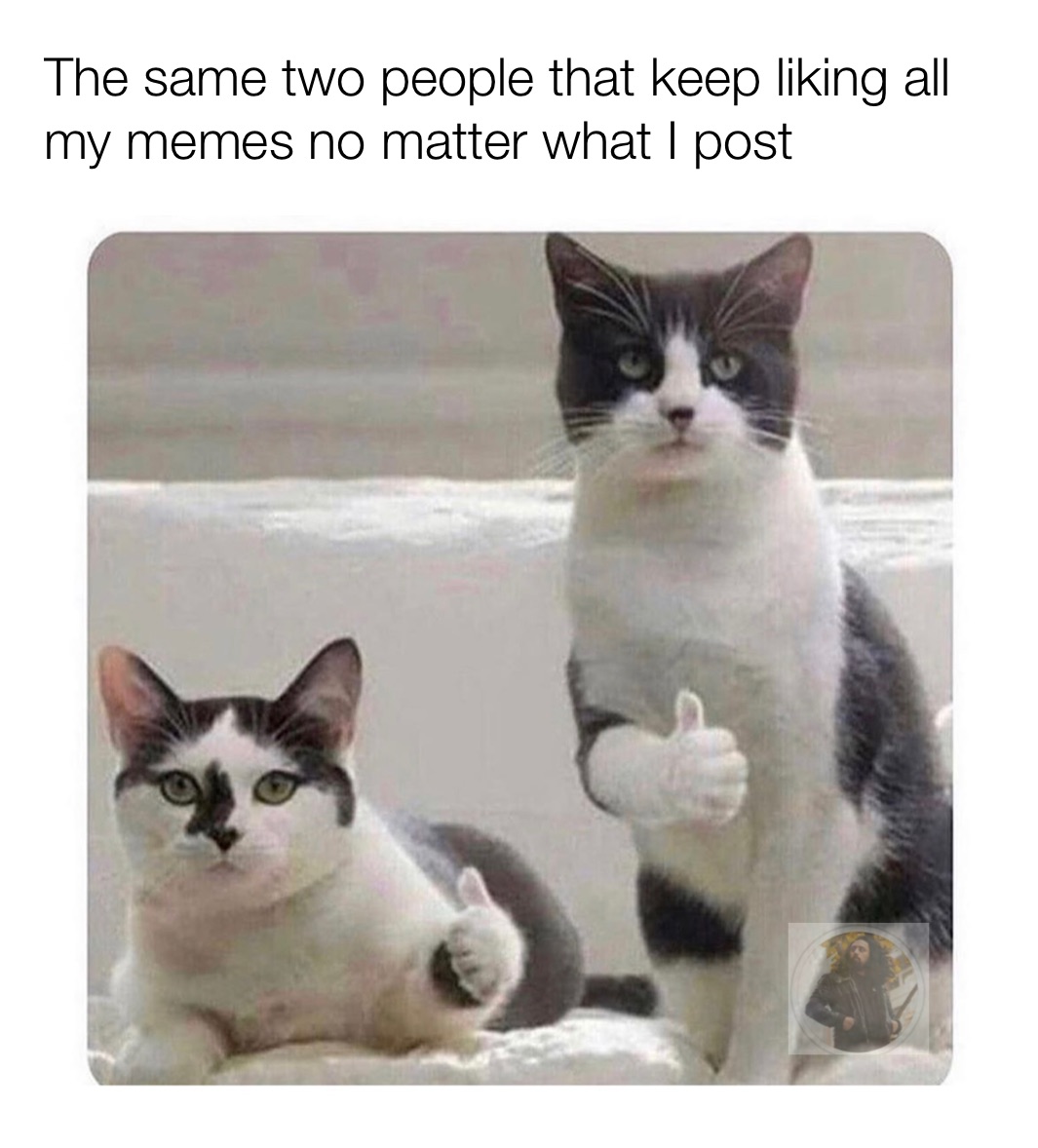 Meme by sam_as_himself