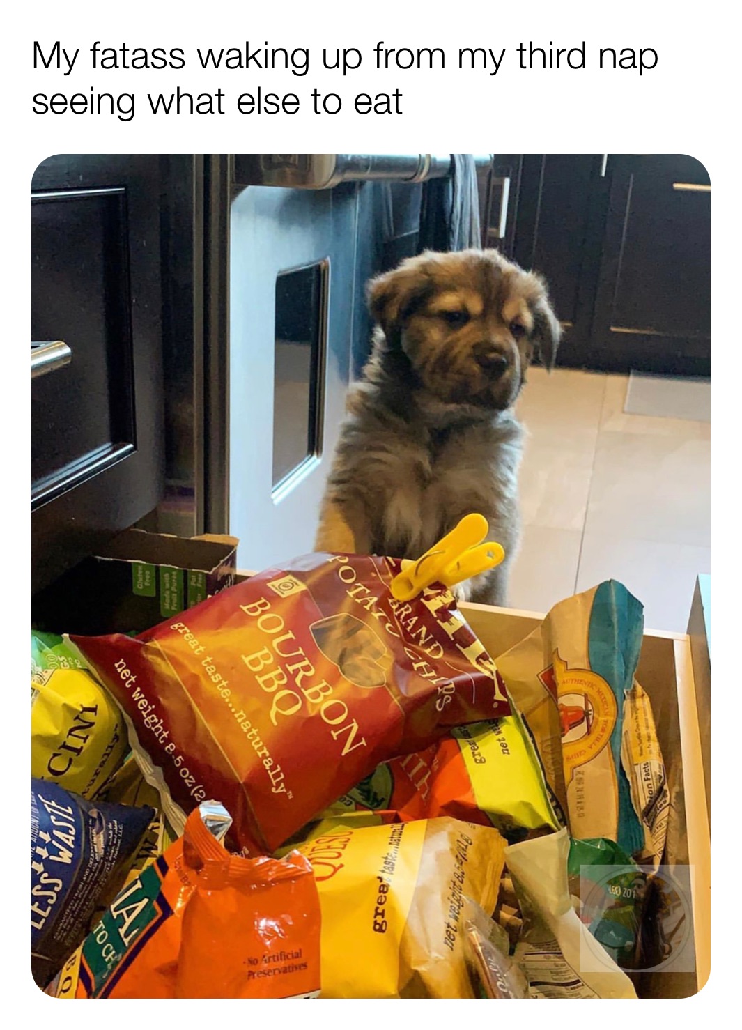 Meme by sam_as_himself