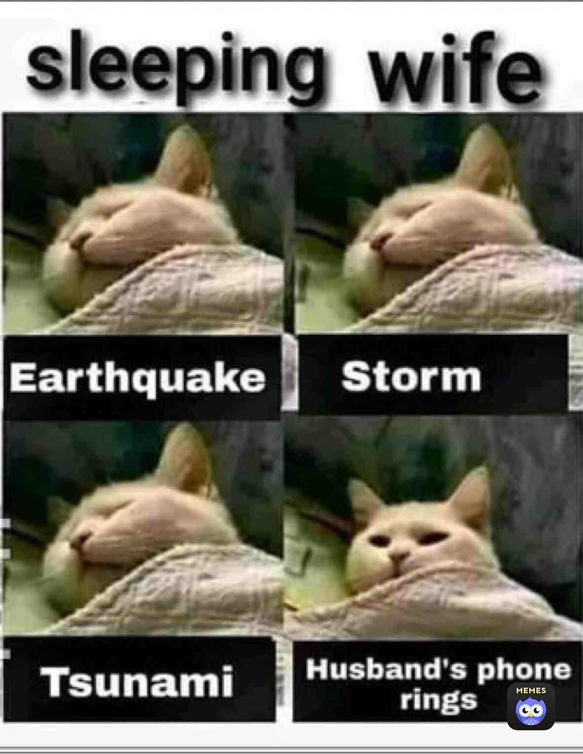 Meme shared by @MzBunny