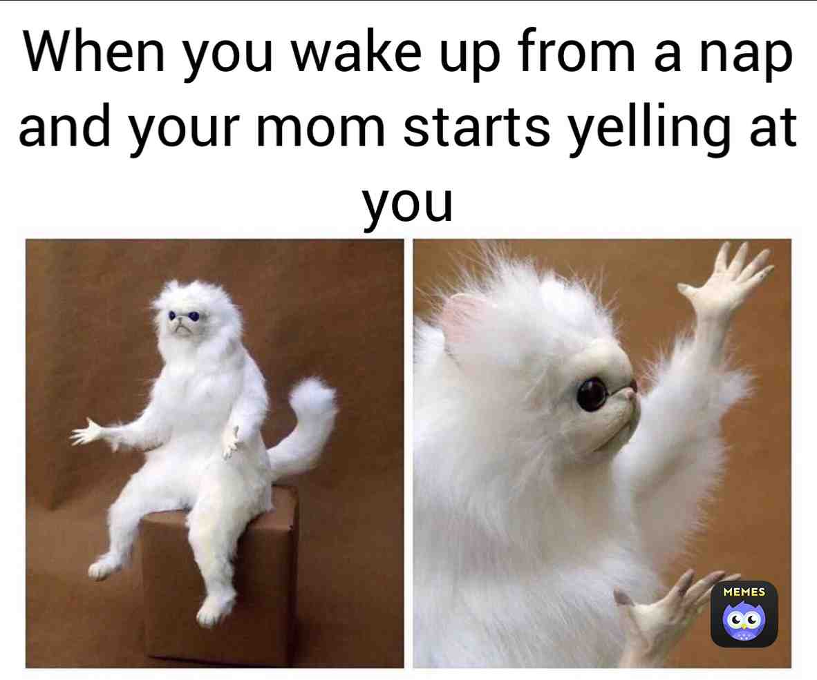 Meme shared by @MzBunny