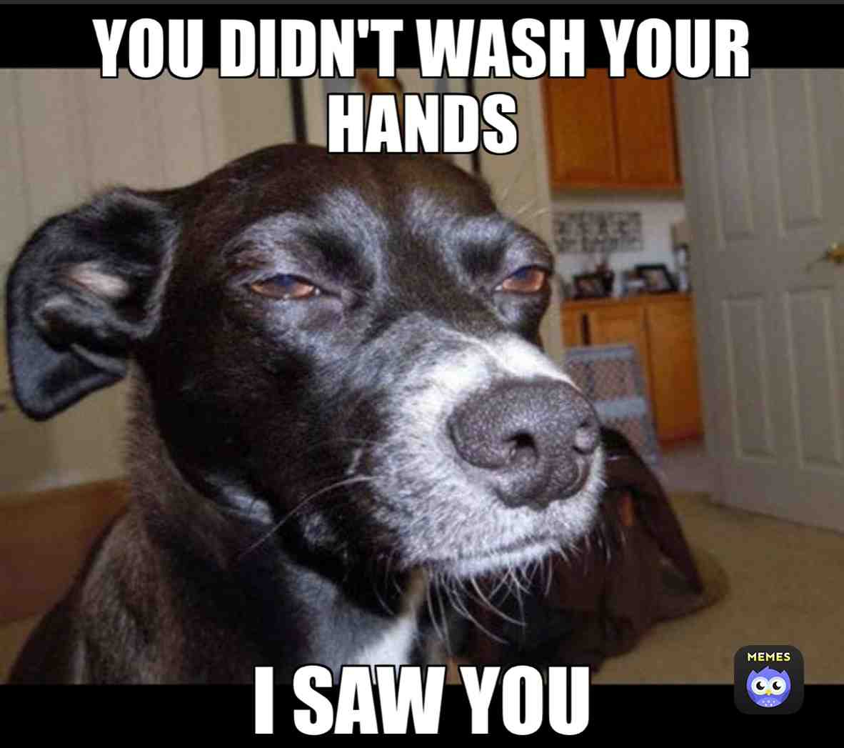 Meme shared by @MzBunny