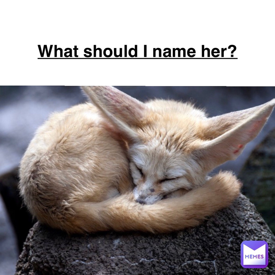 what-should-i-name-her-vbrockhaus-memes