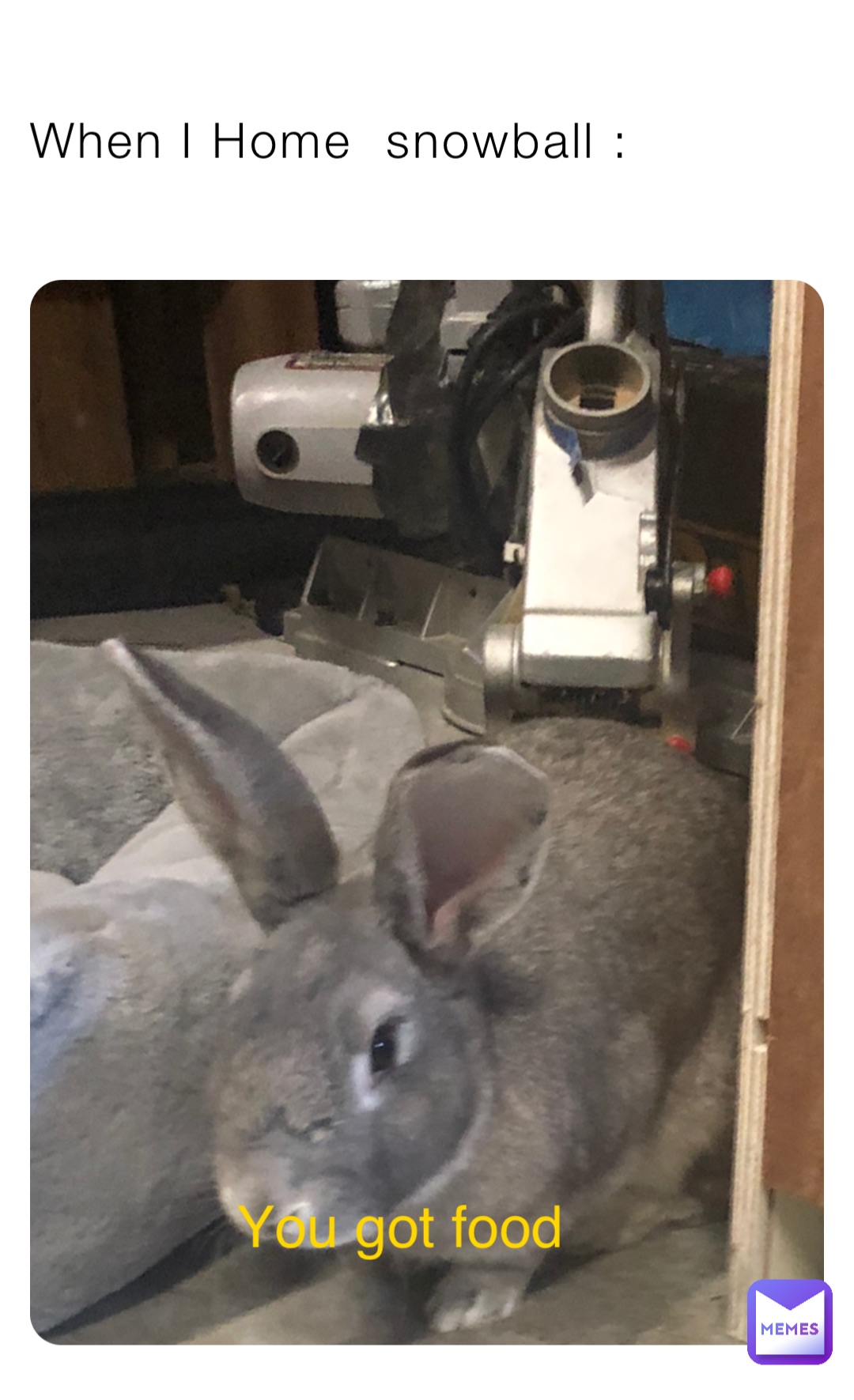 When I Home snowball You got food Dino_dude_meme Memes