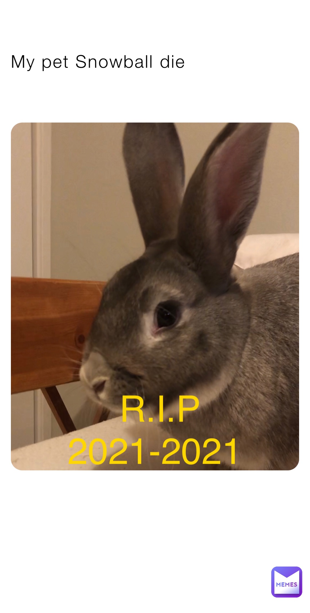 My pet Snowball die R.I.P 
2021-2021