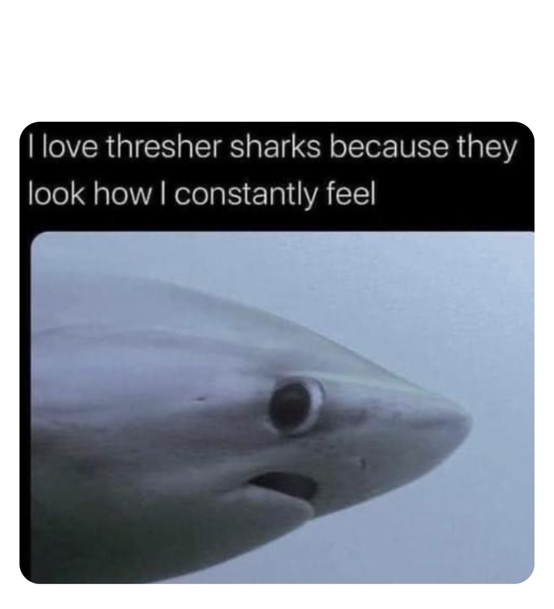 Double tap to edit