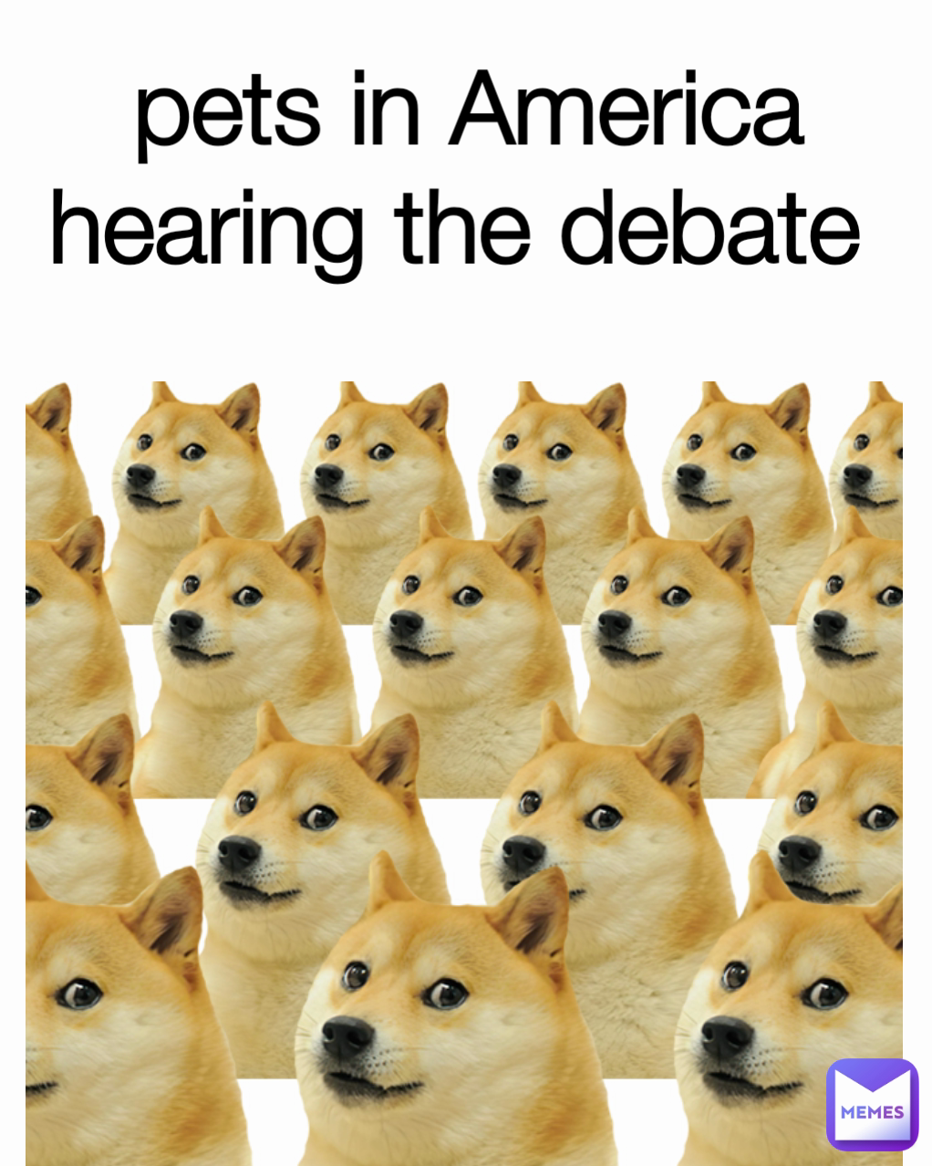 pets in America hearing the debate 