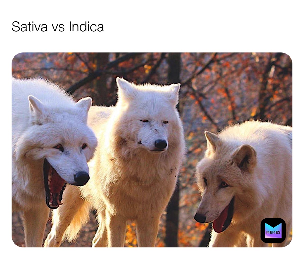 Meme by ocean_bongdropper