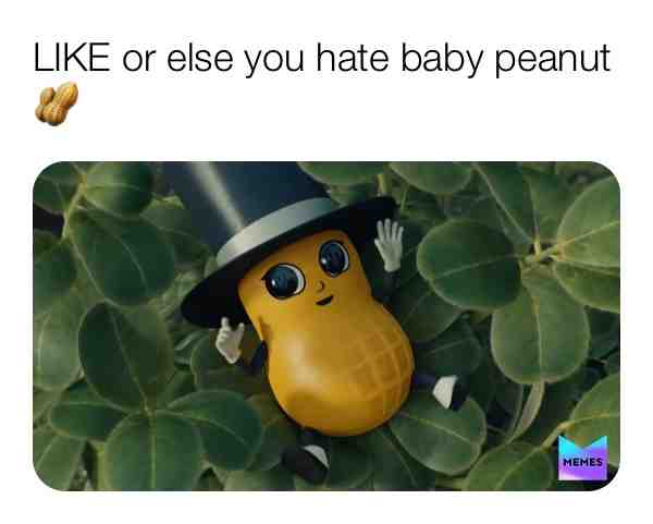  #dank #wow #hilarious #memes #lol #haha #relatable #dankmemes