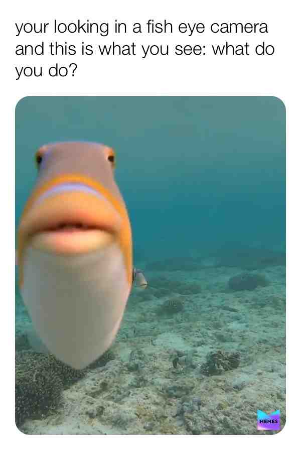  #haha #wow #dank #memes #lol #hilarious #lol #memes #hilarious #wow #haha #dank #relatable #dankmemes
