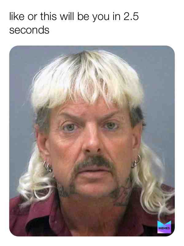  #haha #wow #lol #memes #dank #hilarious #relatable #dankmemes