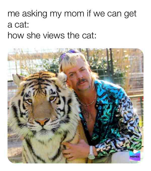  #haha #wow #lol #memes #dank #hilarious #relatable #dankmemes