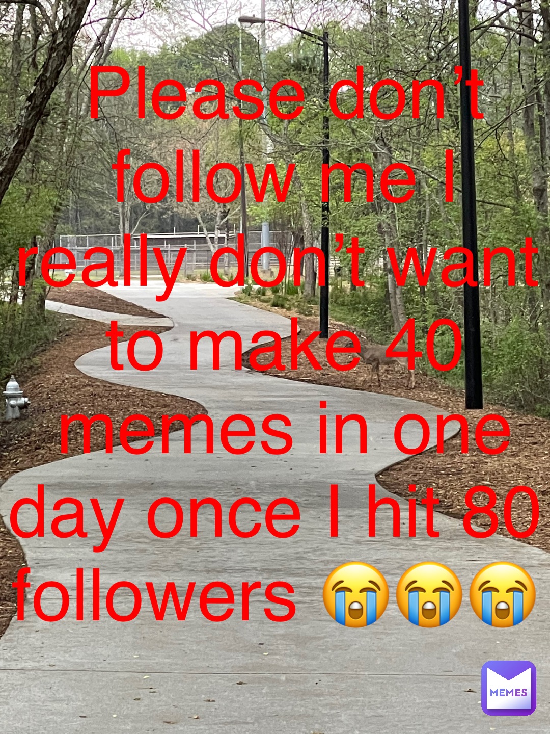 Please don’t follow me I really don’t want to make 40 memes in one day once I hit 80 followers 😭😭😭
