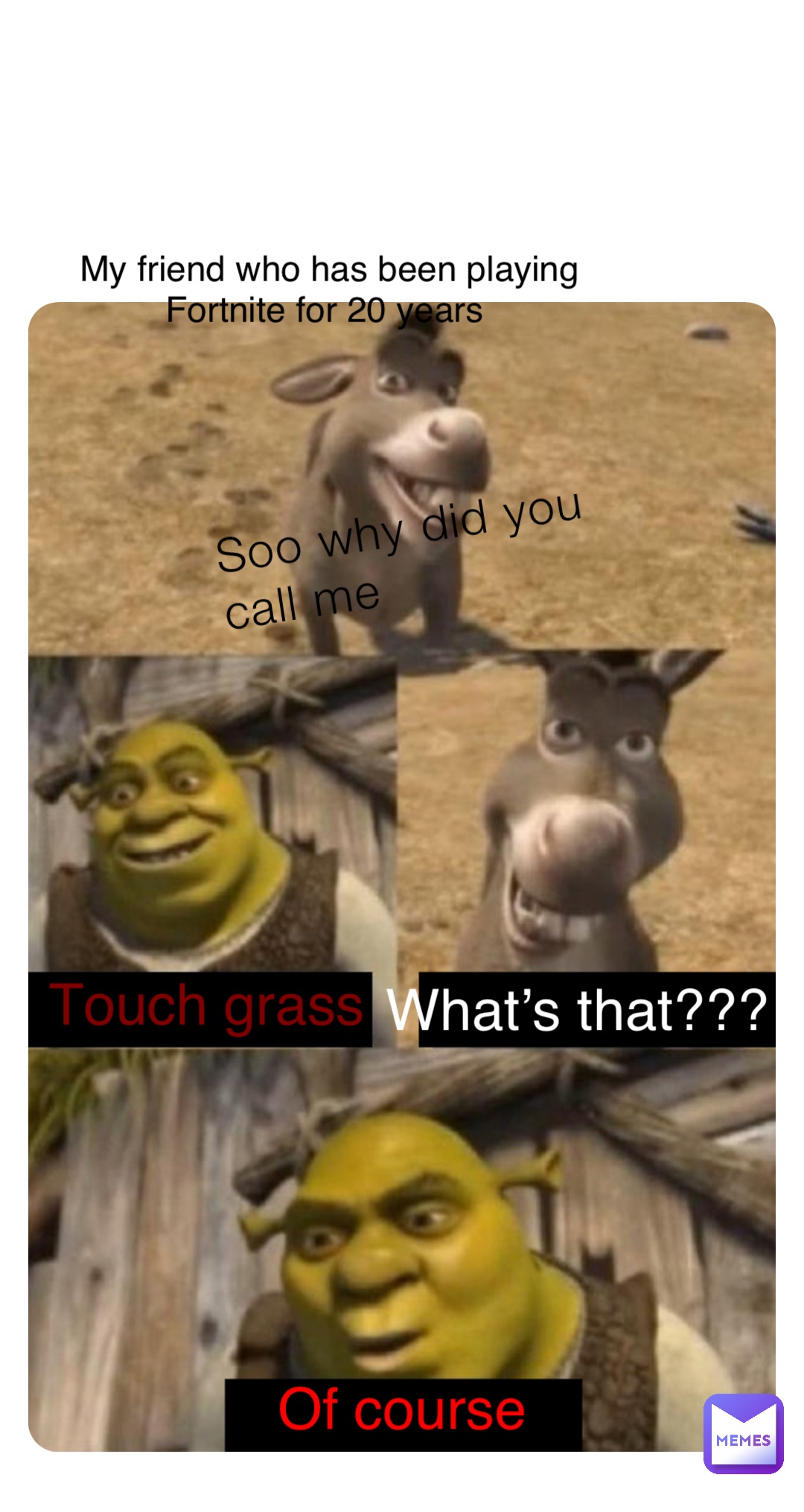 Soo why did you call me My friend who has been playing Fortnite for 20 years Touch grass What’s that??? Of course
