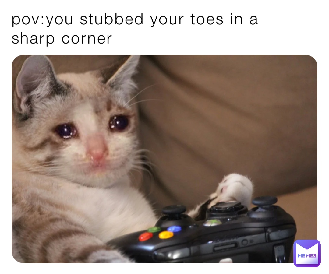 Meme by gabriellacorrea123