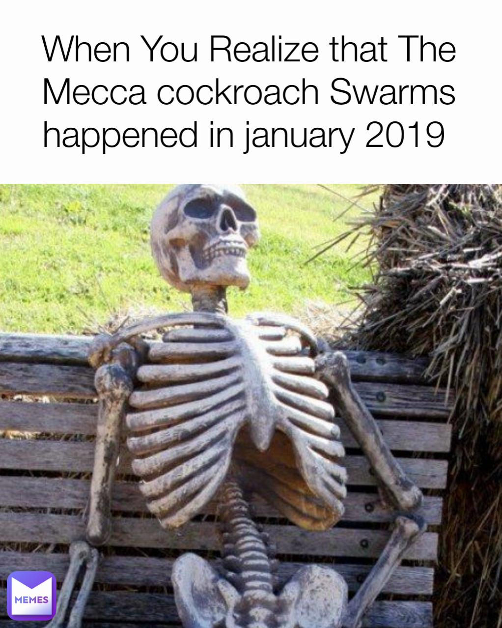 When You Realize that The Mecca cockroach Swarms happened in january 2019 