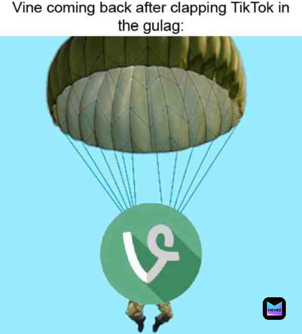 Meme shared by @le6meme9james