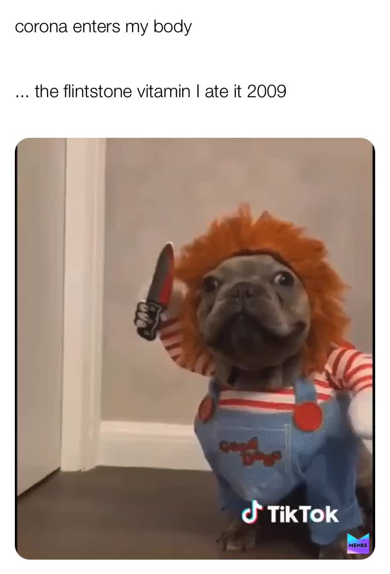 Dog ate 2024 flintstone vitamin