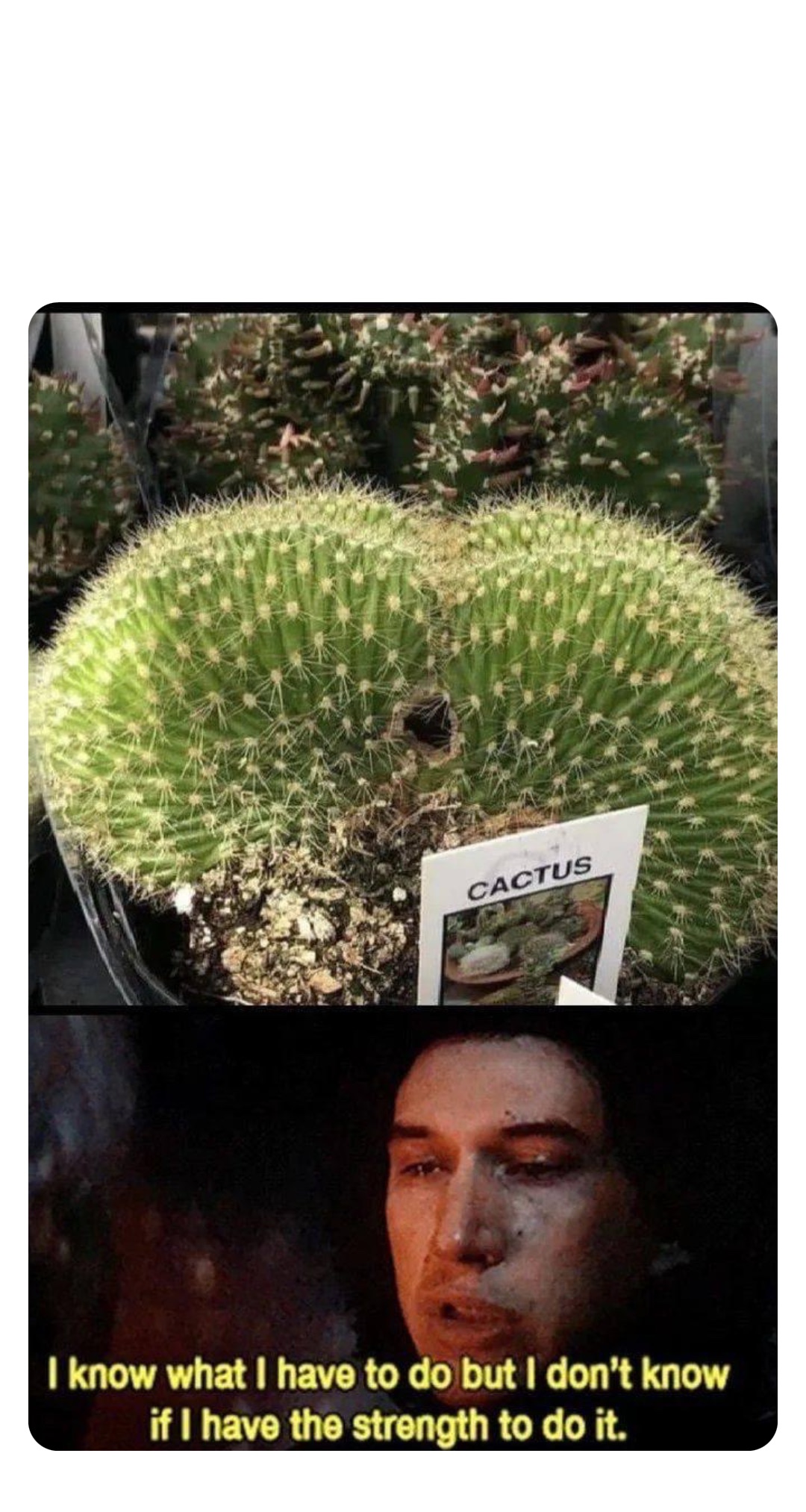 Double tap to edit