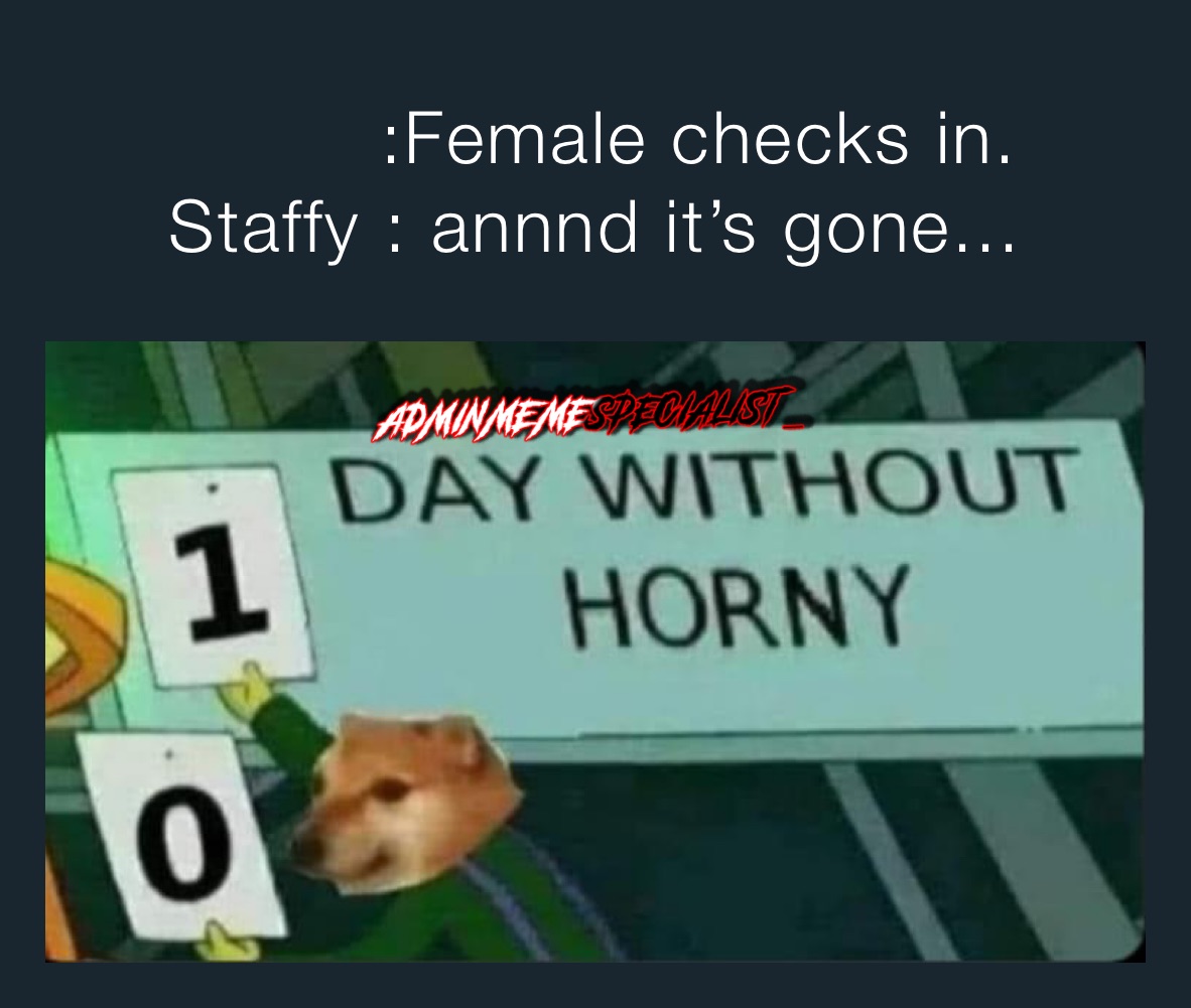          :Female checks in.
Staffy : annnd it’s gone...