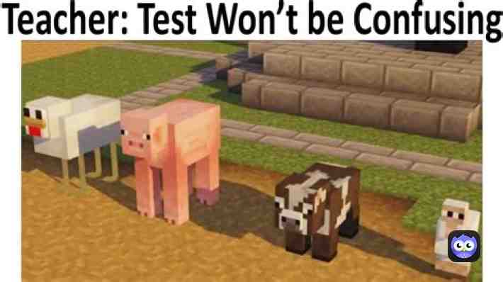 Meme shared by @denverrae