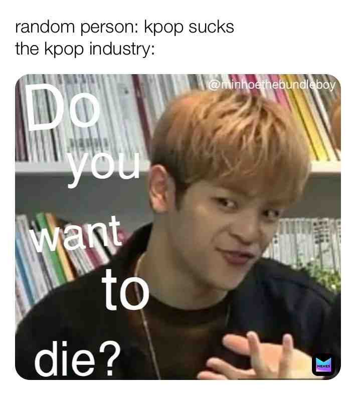  #kpop #kpopmemes #memes #straykids