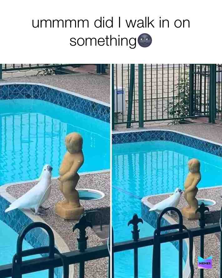 #jokes #memes #funny