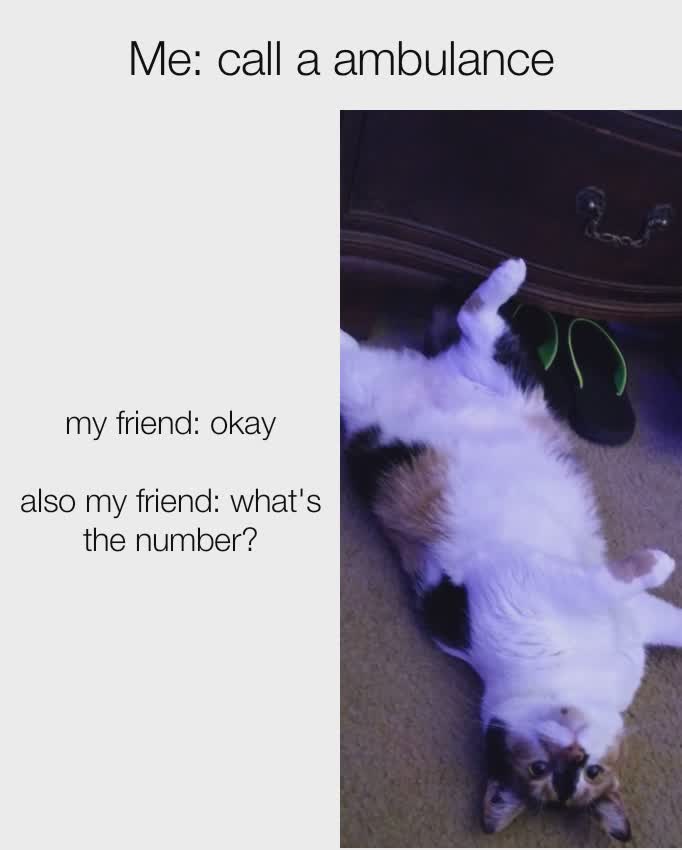 Meme by justanothermemerbitch