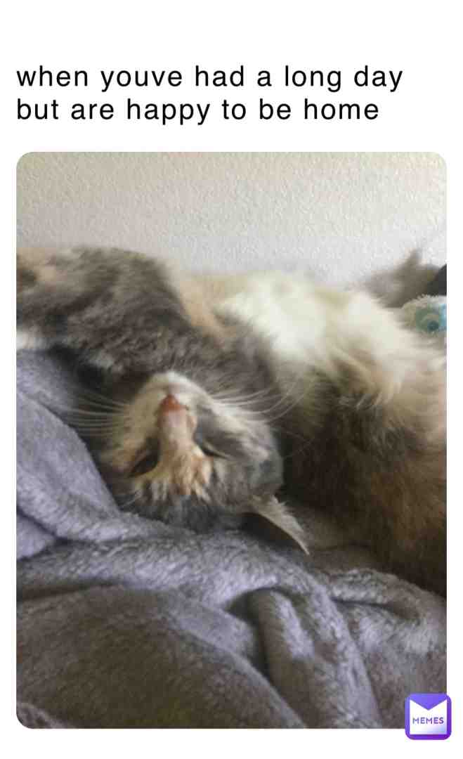 (:    #kitty