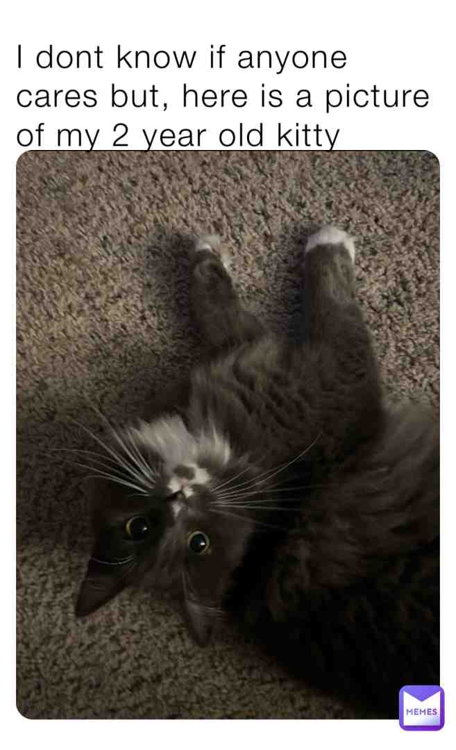 🐈