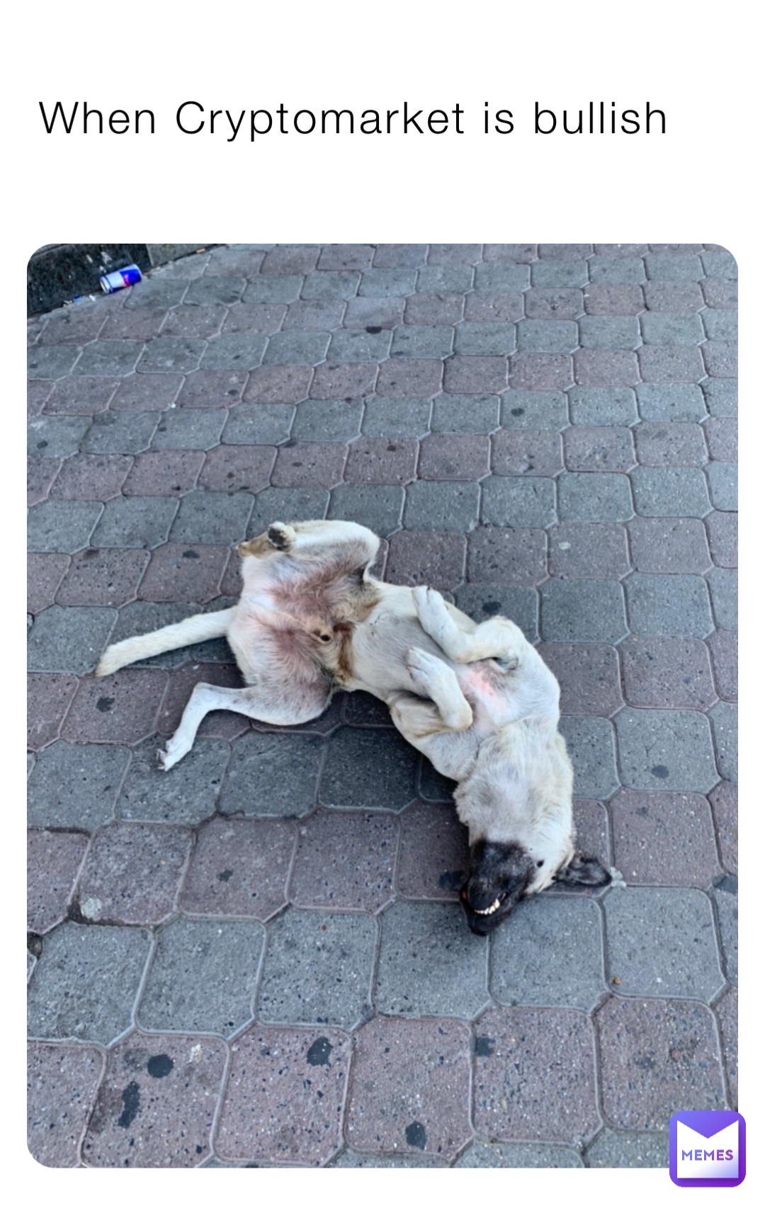 Meme by antsamborskiy