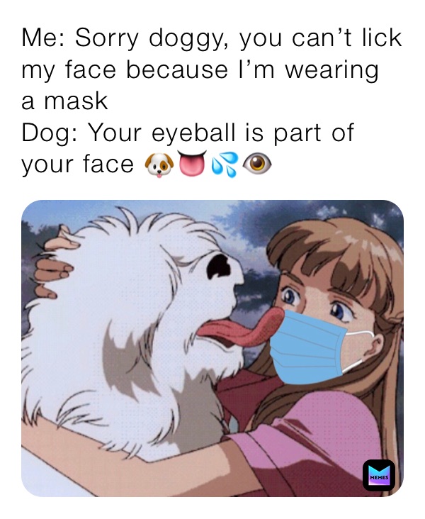 Me: Sorry doggy, you can’t lick my face because I’m wearing a mask
Dog: Your eyeball is part of your face 🐶👅💦👁