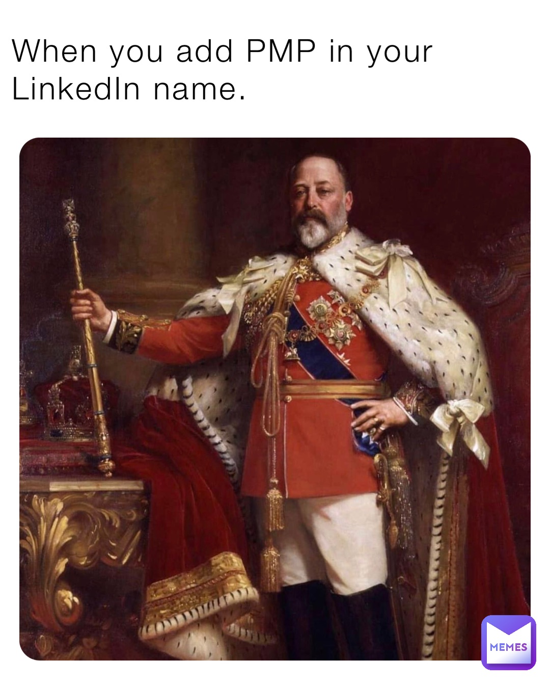 when-you-add-pmp-in-your-linkedin-name-yourhabibi69-memes