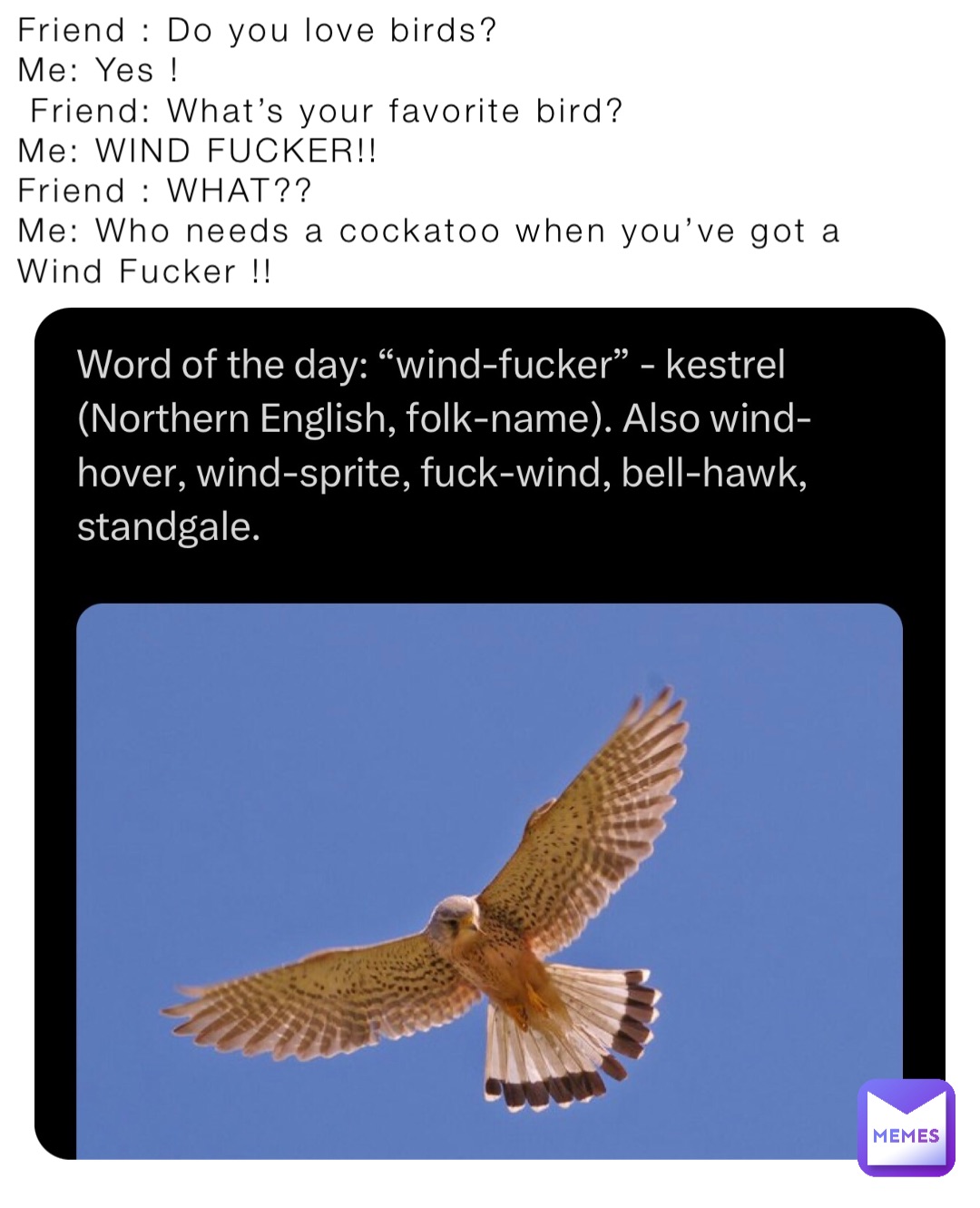 Friend : Do you love birds? 
Me: Yes ! 
 Friend: What’s your favorite bird? 
Me: WIND FUCKER!! 
Friend : WHAT?? 
Me: Who needs a cockatoo when you’ve got a Wind Fucker !!