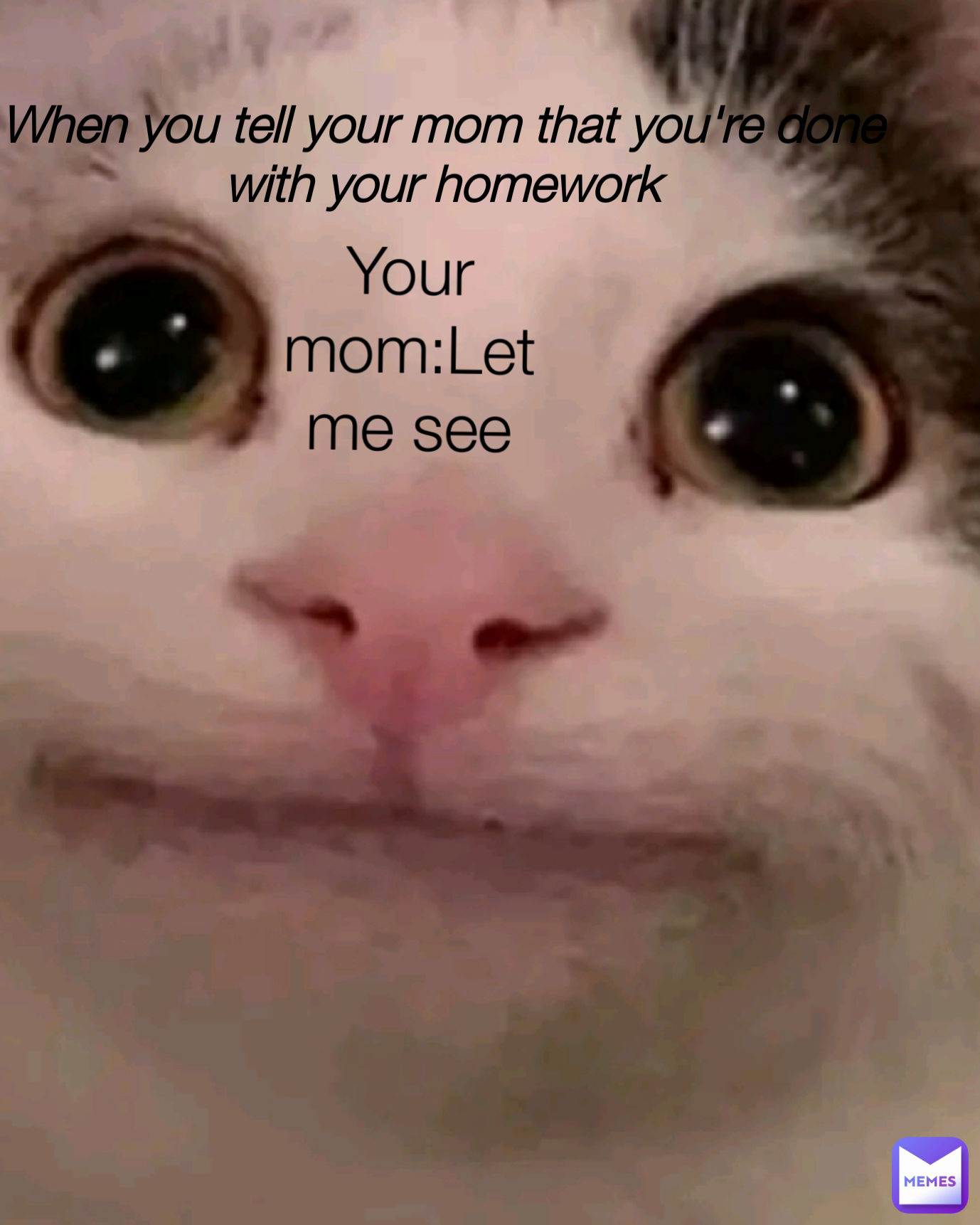 do your homework my mom told me