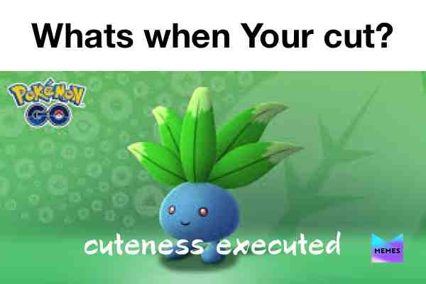 Riddle puns green #naive #positivevibes #pokemon #gardening #standupcomedy #oneliner #punchline #cutememes #veggies