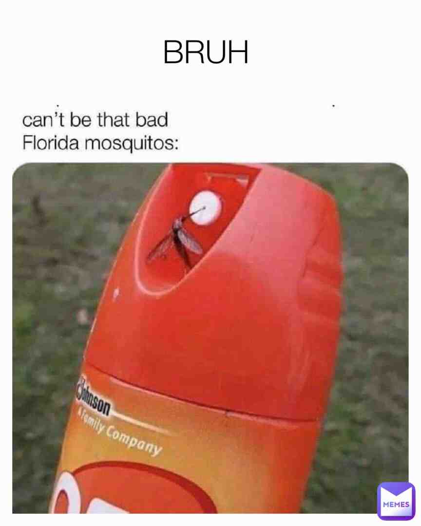 Meme shared by @memer.com98
